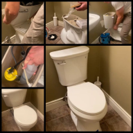 toiletoakville