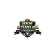 xembongda lytuongnet