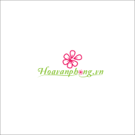 hvphongpk