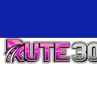 ruteXpicai303