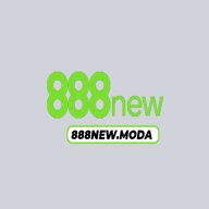 888newmoda1