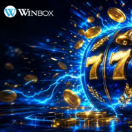 winboxdb
