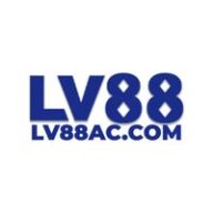 lv8800com