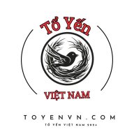 toyenvietnam