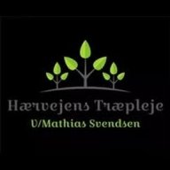 Haervejenstraepleje