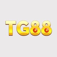 tg88dcom