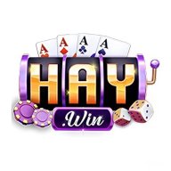 haywin2codes