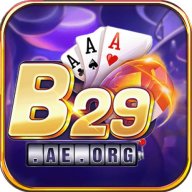 b29aeorg1