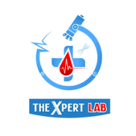 thexpertlab