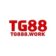 Tg888work