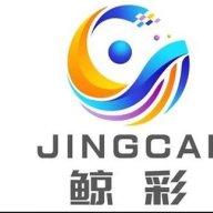 Shandong Jingcai Industr
