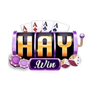 haywin88itcom