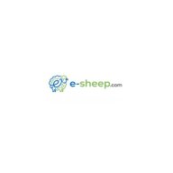 bongdaesheep