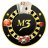 vipm3net2